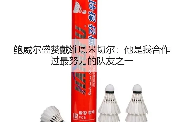 鲍威尔盛赞戴维恩米切尔：他是我合作过最努力的队友之一