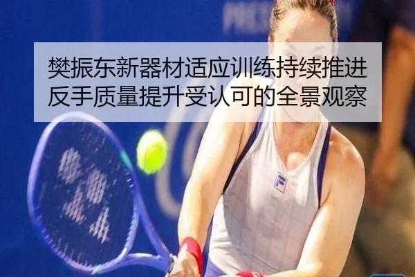 樊振东新器材适应训练持续推进 反手质量提升受认可的全景观察